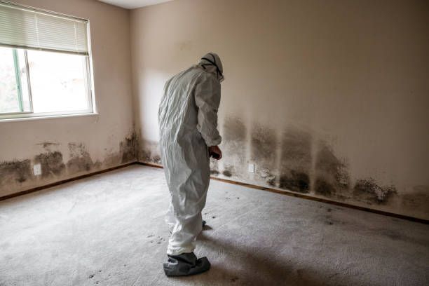Best Crawl Space Mold Removal  in Lake Park, IA